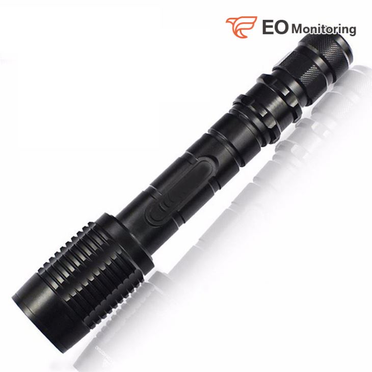 LED Security Flashlight