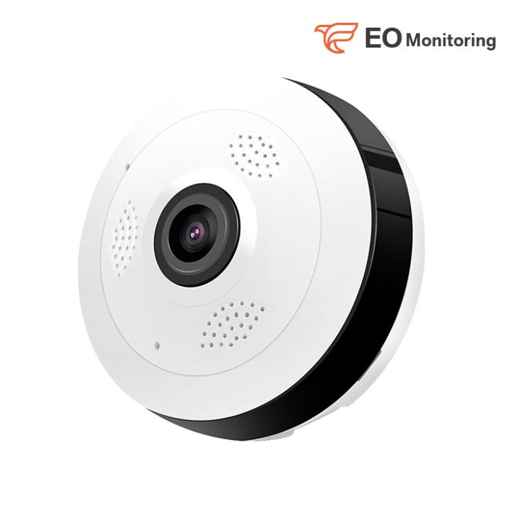 Panoramic IP Security Camera